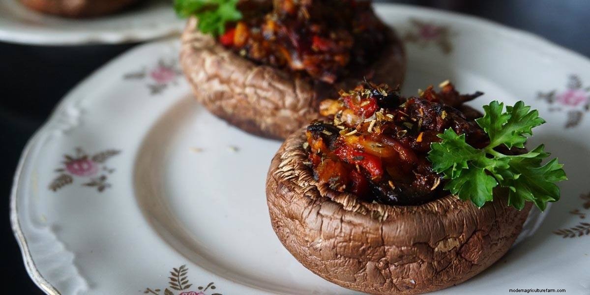 How To Cook Mushrooms: The Right Way!