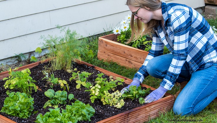 New to Gardening? Start here!