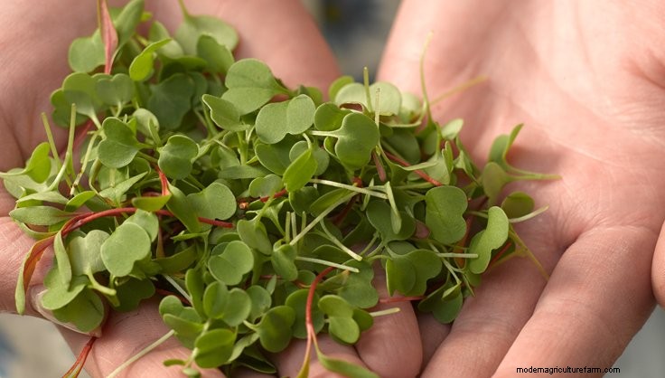 New to Gardening? Start here!