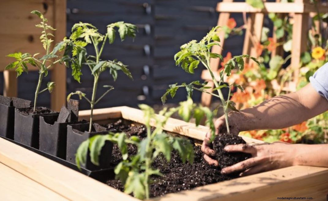 New to Gardening? Start here!