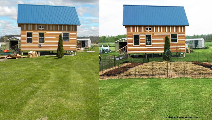 New to Gardening? Start here!