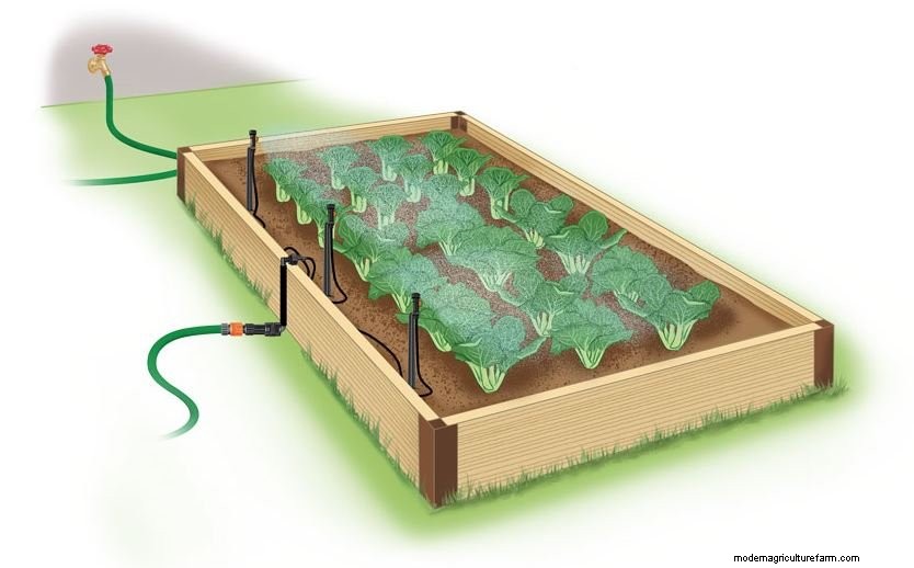 Soak, Drip or Spray: Which is right for you?