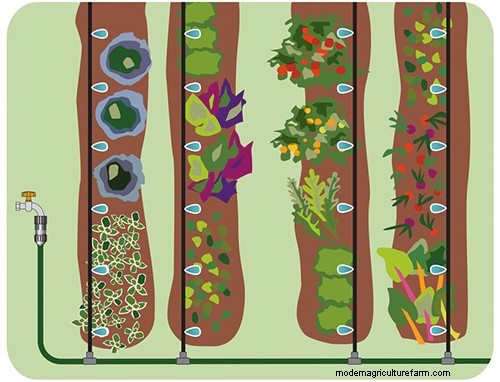 Soak, Drip or Spray: Which is right for you?