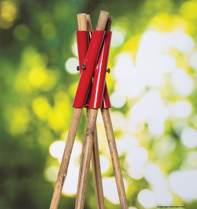 Bamboo Structures for the Garden