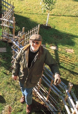 Bamboo Structures for the Garden