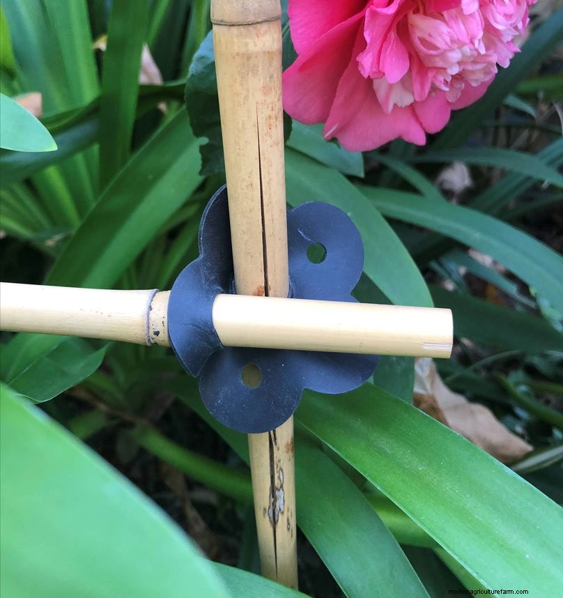 Bamboo Structures for the Garden