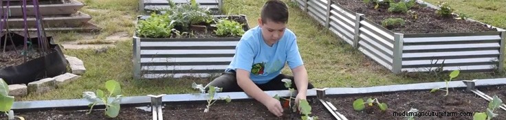 You Can Make a Difference in Your Backyard and Community!