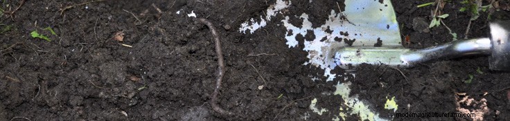 You Can Make a Difference in Your Backyard and Community!