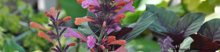 You Can Make a Difference in Your Backyard and Community!