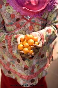 Barbara Eiswerth of Tucson, Ariz Linking Edible Forests