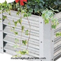 Best Materials for Raised Beds