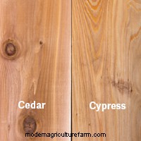 Best Materials for Raised Beds