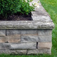 Best Materials for Raised Beds
