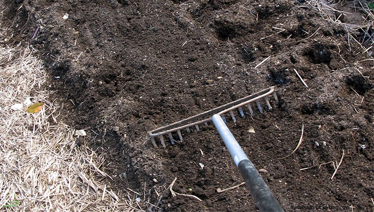 Building Healthy Soil