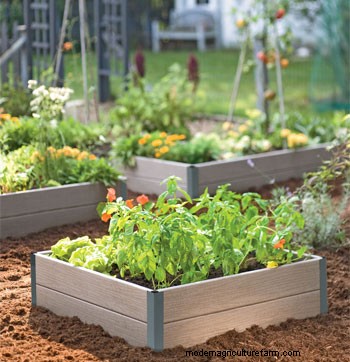 The Basics: Gardening in Raised Beds