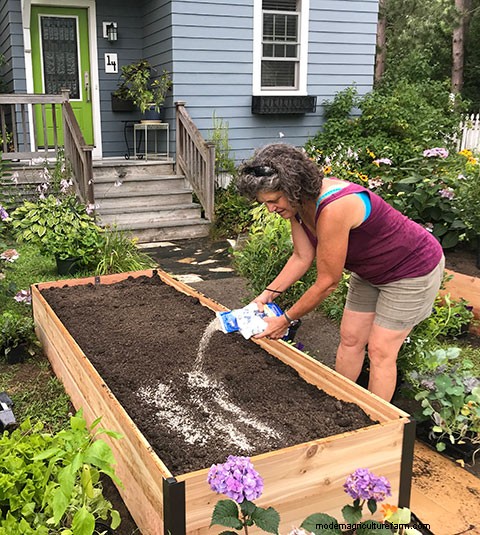The Basics: Gardening in Raised Beds