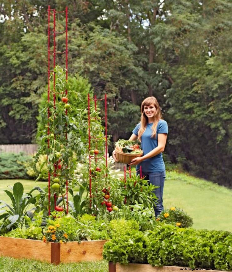 The Basics: Gardening in Raised Beds