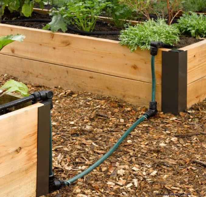 The Basics: Gardening in Raised Beds