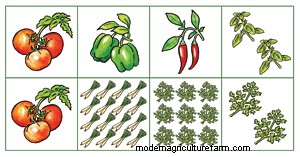 Be Bold! Grow Vegetables in Your Front Yard!