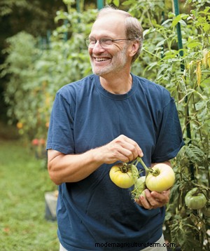 Compact Tomato Plants Yield Full-Size Flavors