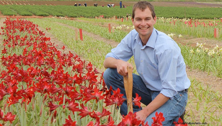 Meet One of Our South African Amaryllis Growers