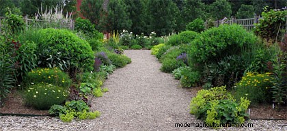 Divide and Conquer: The Secret to a Great-Looking Perennial Garden