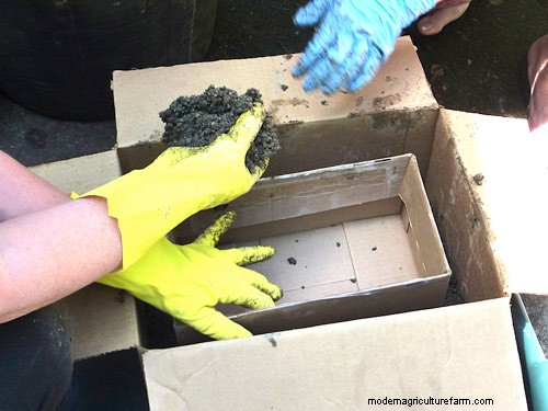 How to Make a Hypertufa Planter