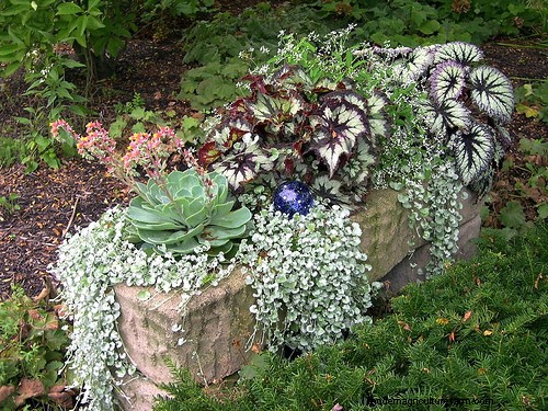 How to Make a Hypertufa Planter