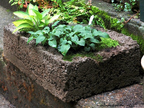 How to Make a Hypertufa Planter