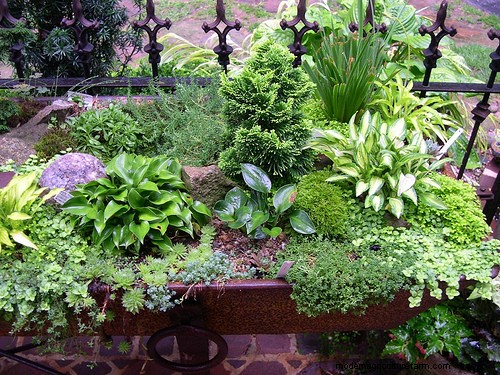 How to Make a Hypertufa Planter