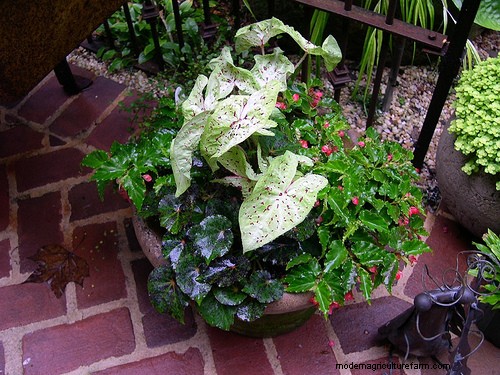 How to Make a Hypertufa Planter