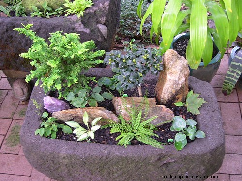 How to Make a Hypertufa Planter