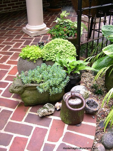 How to Make a Hypertufa Planter