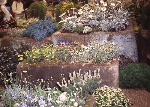 How to Make a Hypertufa Planter