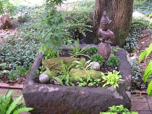 How to Make a Hypertufa Planter