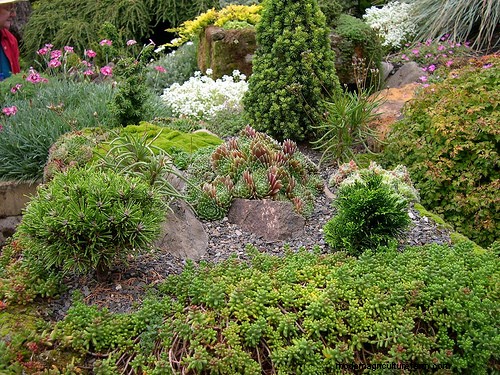 How to Make a Hypertufa Planter