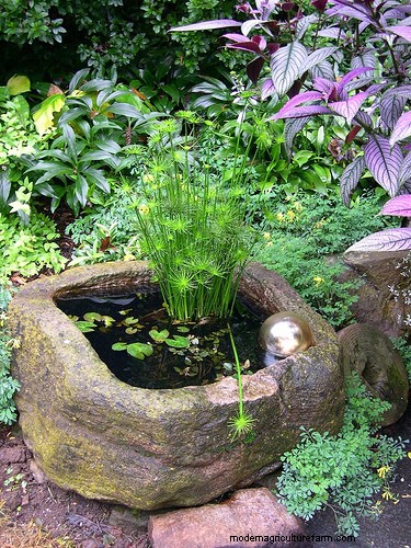 How to Make a Hypertufa Planter