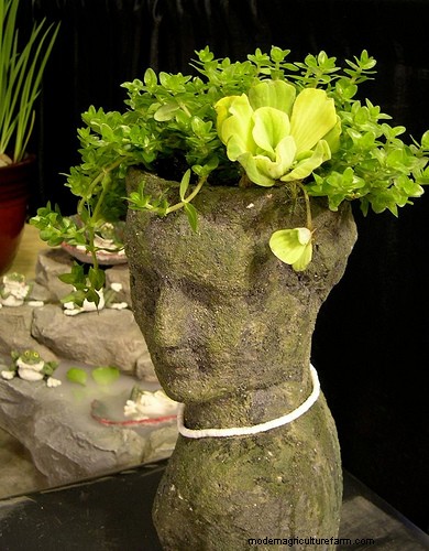 How to Make a Hypertufa Planter