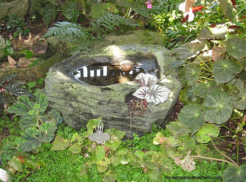 How to Make a Hypertufa Planter