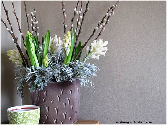 Planting My Bountiful, Beautiful Backyard