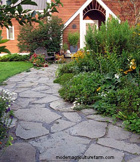 Taming the Unruly Perennial Garden