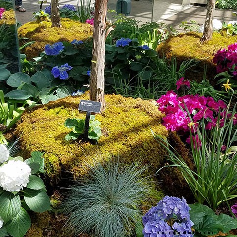 Garden Design Techniques that will Transform Your Landscape