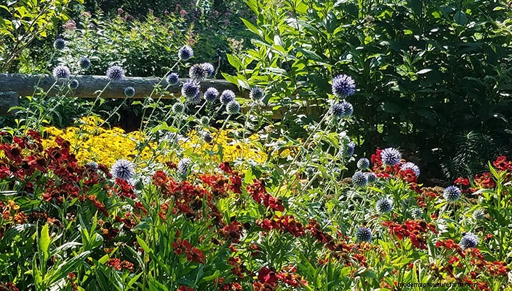 Garden Design Techniques that will Transform Your Landscape