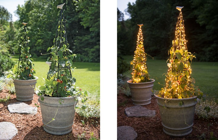 Garden Design Techniques that will Transform Your Landscape