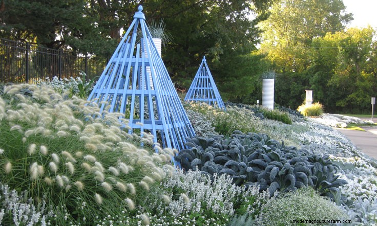 Garden Design Techniques that will Transform Your Landscape