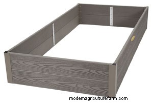 Grow Lavender Anywhere