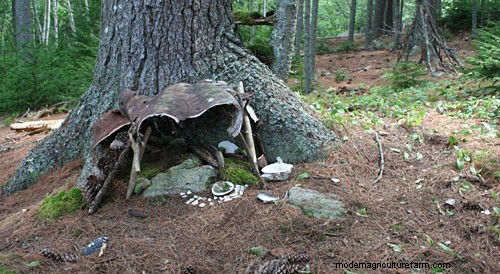 Fairy Gardens Make Miniature Magic