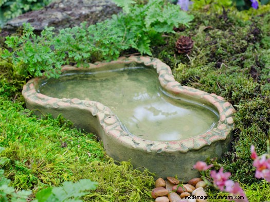 Fairy Gardens Make Miniature Magic