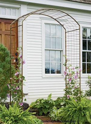 How to Choose Trellises and Supports for Climbing Plants
