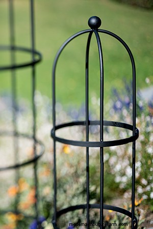 How to Choose Trellises and Supports for Climbing Plants